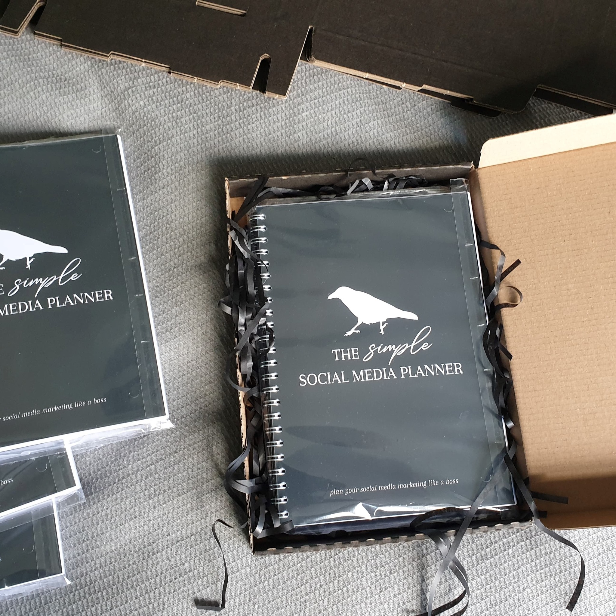 312718084_427360046251580_6373539150301422663_n